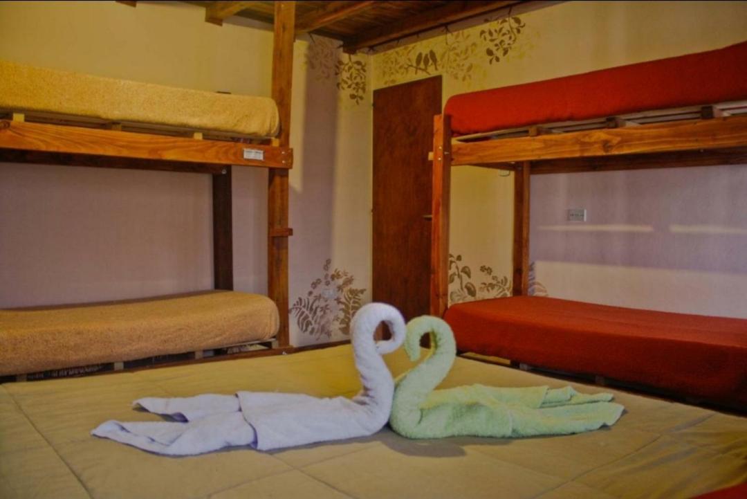 La Casa Del Arbol - Hostel 埃博森 外观 照片